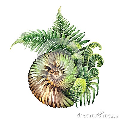 Prehistoric watercolor seashell and fern branches Cartoon Illustration