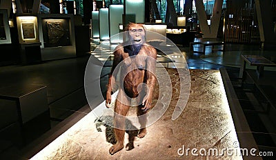 Prehistory exhibition Editorial Stock Photo