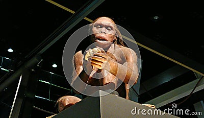 Prehistory exhibition Editorial Stock Photo