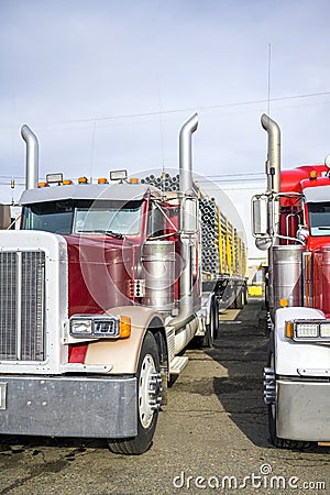 Loaded big rig classic semi trucks with vertical exhaust pipes and flat bed semi trailers standing in row on parking lot Stock Photo