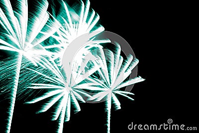 Luxury fireworks event sky show with turquoise palm trees stars Stock Photo