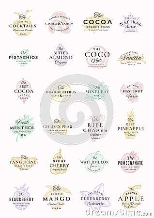 Premium Fruits, Berries, Nuts and Spices Elegant Labels Set. Abstract Vector Signs, Symbols or Logo Templates Bundle Vector Illustration