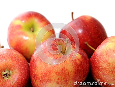 Premium jonagold apple Stock Photo