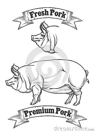 Premium pork meat vector label, butcher emblems or Vector Illustration