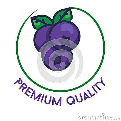 blueberry fruit logo suitable for business labels, or premium fruit labels Vector Illustration