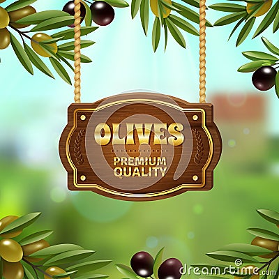 Premium Quality Olives Background Vector Illustration