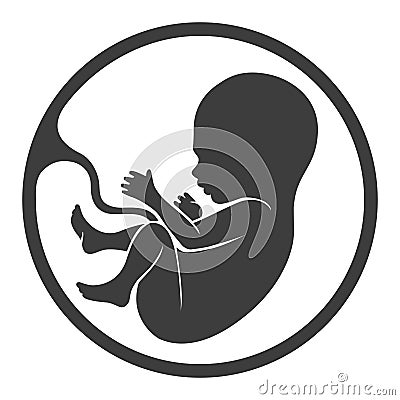 Prenatal human child with placenta silhouette Vector Illustration