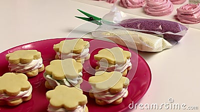 Preparare un panino al marshmallow Gli spazi vuoti sono sul piatto Testa in sacchi, quasi decorativa, multicolore archivi video Preparare un panino al marshmallow Gli spazi vuoti sono sul piatto Testa in sacchi, quasi decorativa, multicolore archivi video