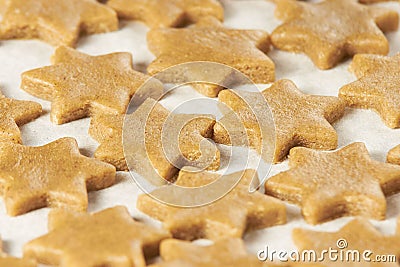 Preparation dough. Delicious ginger biscuits. Bakery products Stock Photo