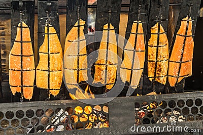 Preparation of flame salmon over the open fire of an open fireplace loaded with wood Stock Photo