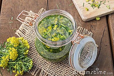 Preparation of herbal tincture from cypress spurge Stock Photo