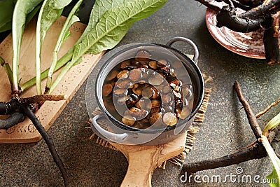 Preparation of homemade comfrey root ointment from sliced root and rendered pork lard Stock Photo