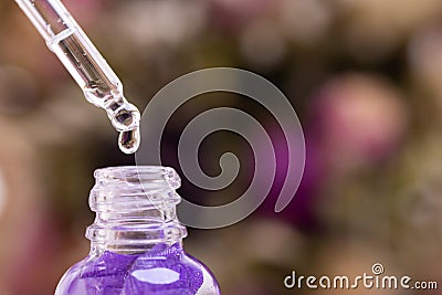 Preparation of perfumes from natural ingredients, aromatherapy. Glass pipette with a drop of perfume close-up Stock Photo