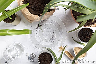 Preparation for planting succulent for home garden. Reuse of tin to grow plants. Zero waste, recycle, reuse, upcycle. Top view, Stock Photo