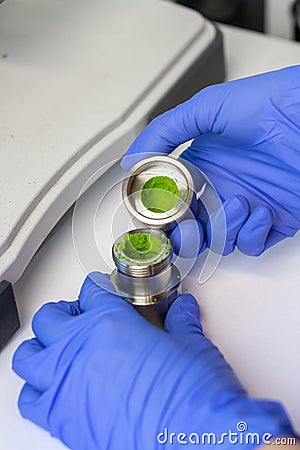 Preparation of sample using vibrating mill. Woman hands in blue gloves hold green powder sample after oscillating rotary sieve. Stock Photo