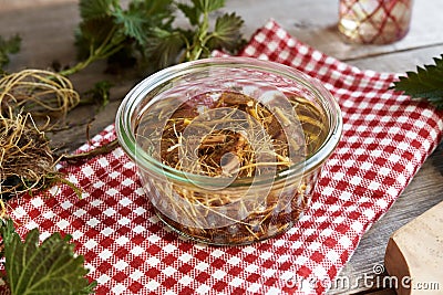 Preparation of stinging nettle tincture Stock Photo