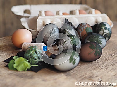 Easter eggs painted onion peel with a pattern of fresh herbs on a wooden ancient background. We color the eggs according to the Stock Photo