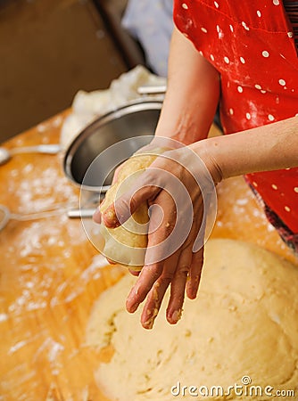 Prepare meal food. modelling dough in hands Stock Photo