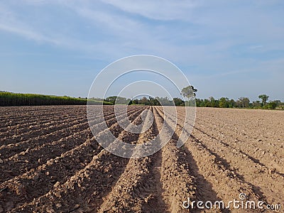 Prepare the soil and raise the trench ready for planting, agricultural land during the day. Stock Photo