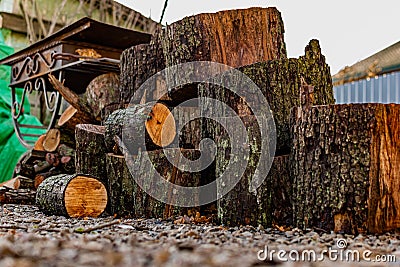 Prepared firewood for the grill and stove. Sawn down thick and thin tree trunks, wet and wet logs, stacked on rubble Stock Photo