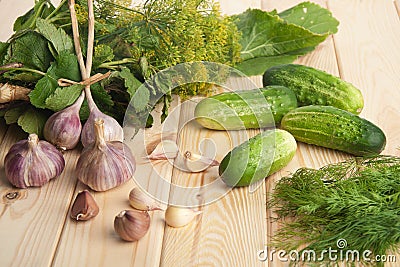 Preparing cucumbers for pickling Stock Photo