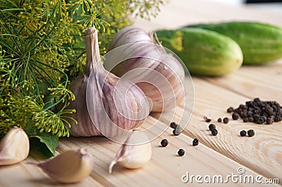 Preparing cucumbers for pickling Stock Photo