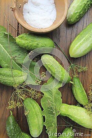 Preparing cucumbers for pickling Stock Photo