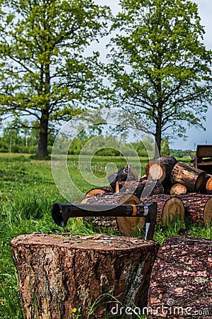 Preparing firewood with axe Stock Photo