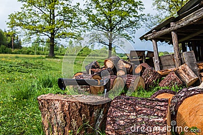Preparing firewood with axe Stock Photo