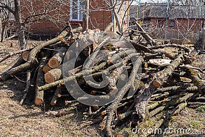 Preparing firewood for the winter Stock Photo