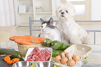 Preparing natural food for pets Stock Photo