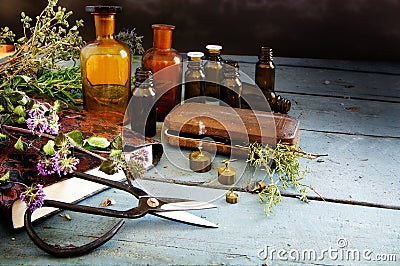 Preparing natural medicine, healing herbs, scissors and apotheca Stock Photo