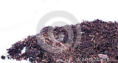 Preparing organic humus soil on a white background. Stock Photo