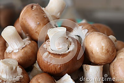 Pile of washed button mushrooms close up Stock Photo