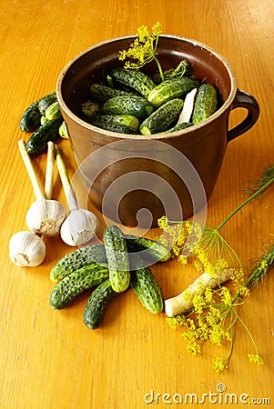 Preparing sour cucumbers Stock Photo