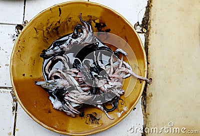 Preparing squid in dish Stock Photo