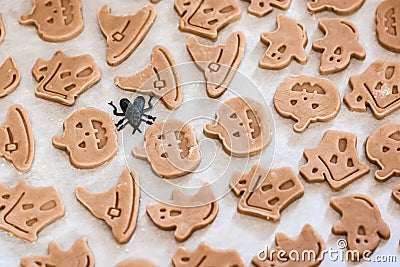 Preparing to celebrate halloween and preparing a treat. Raw ready-to-bake halloween cookies on paper on a baking sheet. Lifestyle Stock Photo