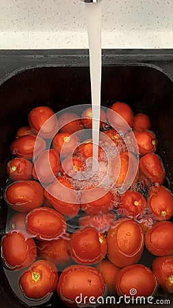 Preparing winter tomatoes. Washing tomatoes Stock Photo