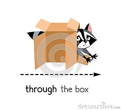 Preposition of movement. Raccoon runing through the box Vector Illustration