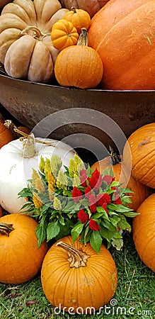 Pumpkin soup caldron and fall display Stock Photo