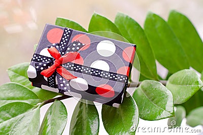 Present box on green leaves Stock Photo