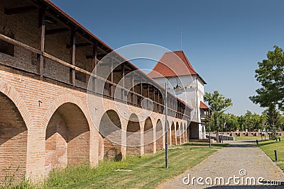 The fortress of Targu Mures Editorial Stock Photo