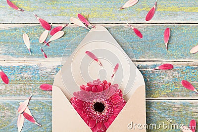 Present or gift message concept with single gerbera flower in kraft envelope. Greeting card on mother or womans day. Top view. Stock Photo