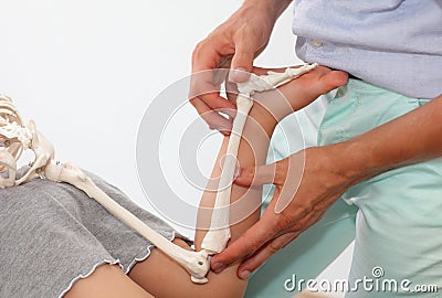 Presentation of child's lower limb skeletal system Stock Photo