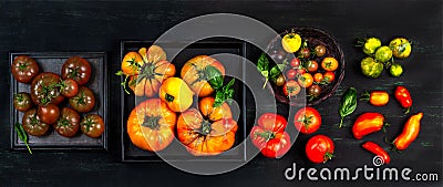 Presentation of old tomatoes in trays and basket Stock Photo