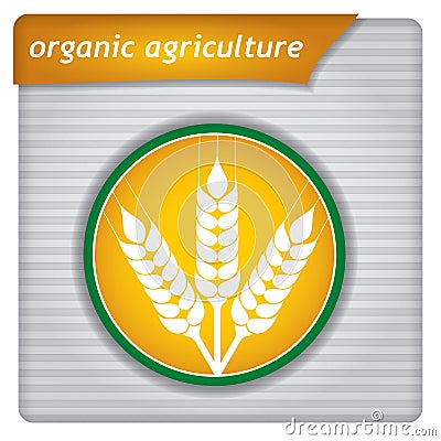 Presentation template - organic agriculture Vector Illustration