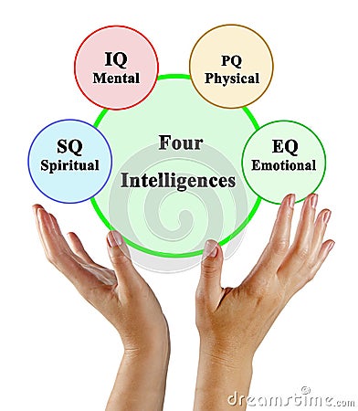 four types of Intelligences Stock Photo