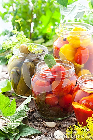 Preserved vegetables Stock Photo