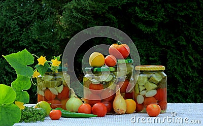 Preserves vegetables in glass jars on the table in summer garden. glass jars with various vegetables Stock Photo