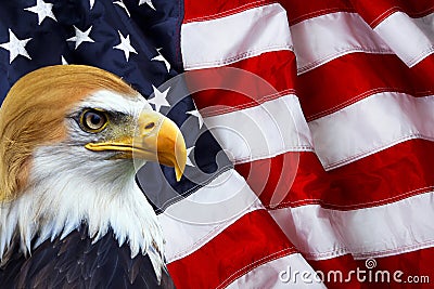 The president - North American Bald Eagle on American flag Stock Photo